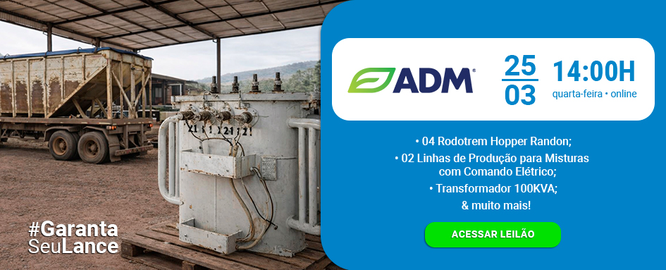 Leilão de Rodotrem, Linhas de Produção e muito mais