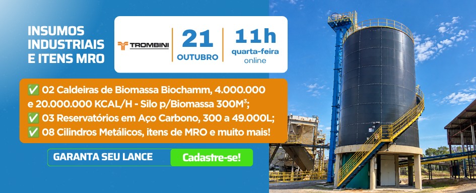 Leilão insumos industriais  e itens MRO | DeSeuLance